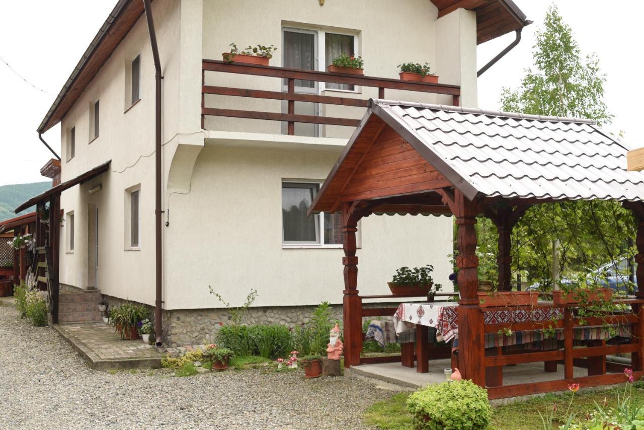 Pension Ioana Lavita Vadu Izei Zewnętrze zdjęcie