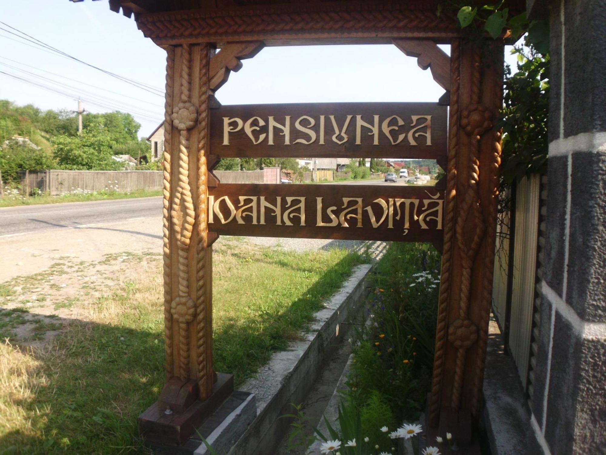 Pension Ioana Lavita Vadu Izei Zewnętrze zdjęcie