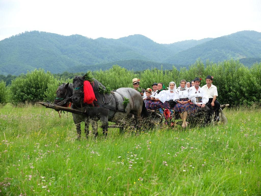 Pension Ioana Lavita Vadu Izei Zewnętrze zdjęcie